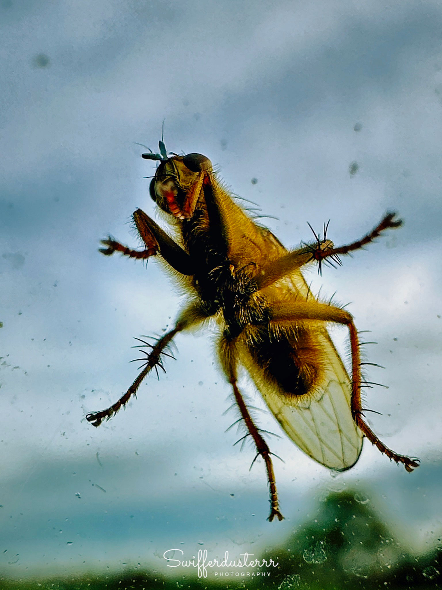 IMG_0658 Edited-mwm-1