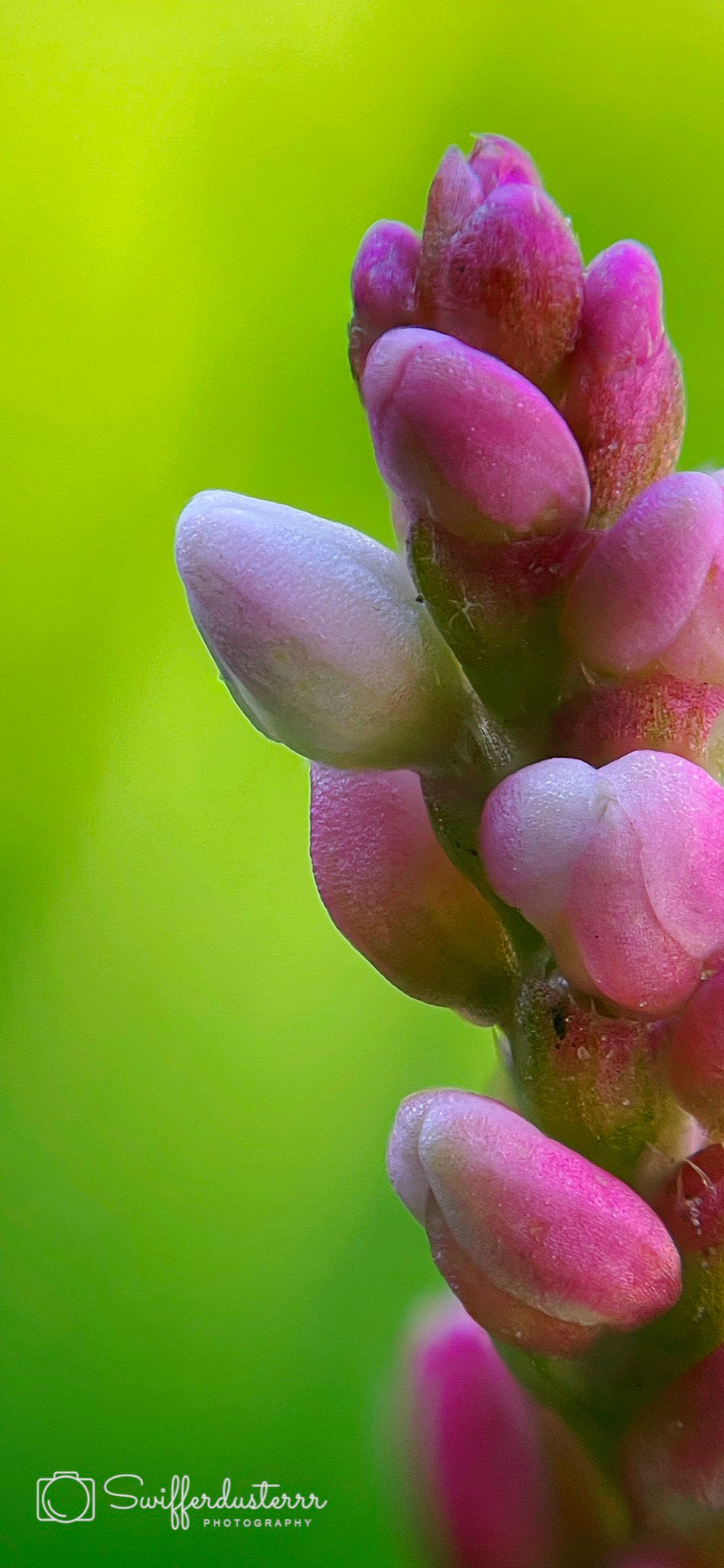 IMG_0342 Edited%20MWM