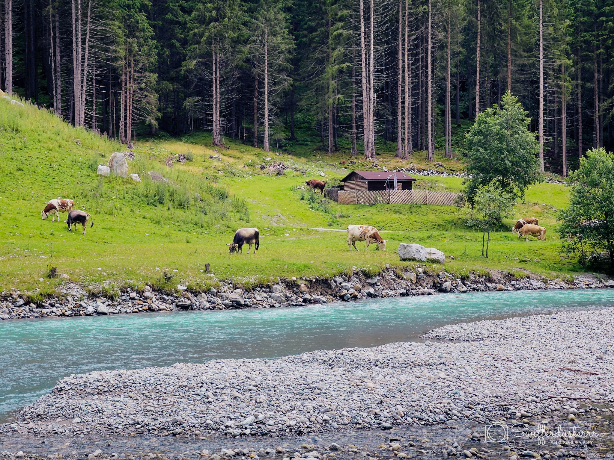 IMG_1233 17-Edited?timestamp=1670537816743