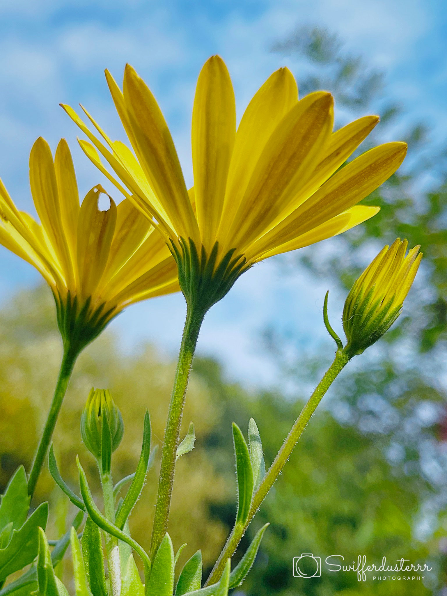 IMG_2059 Editedc-MWM