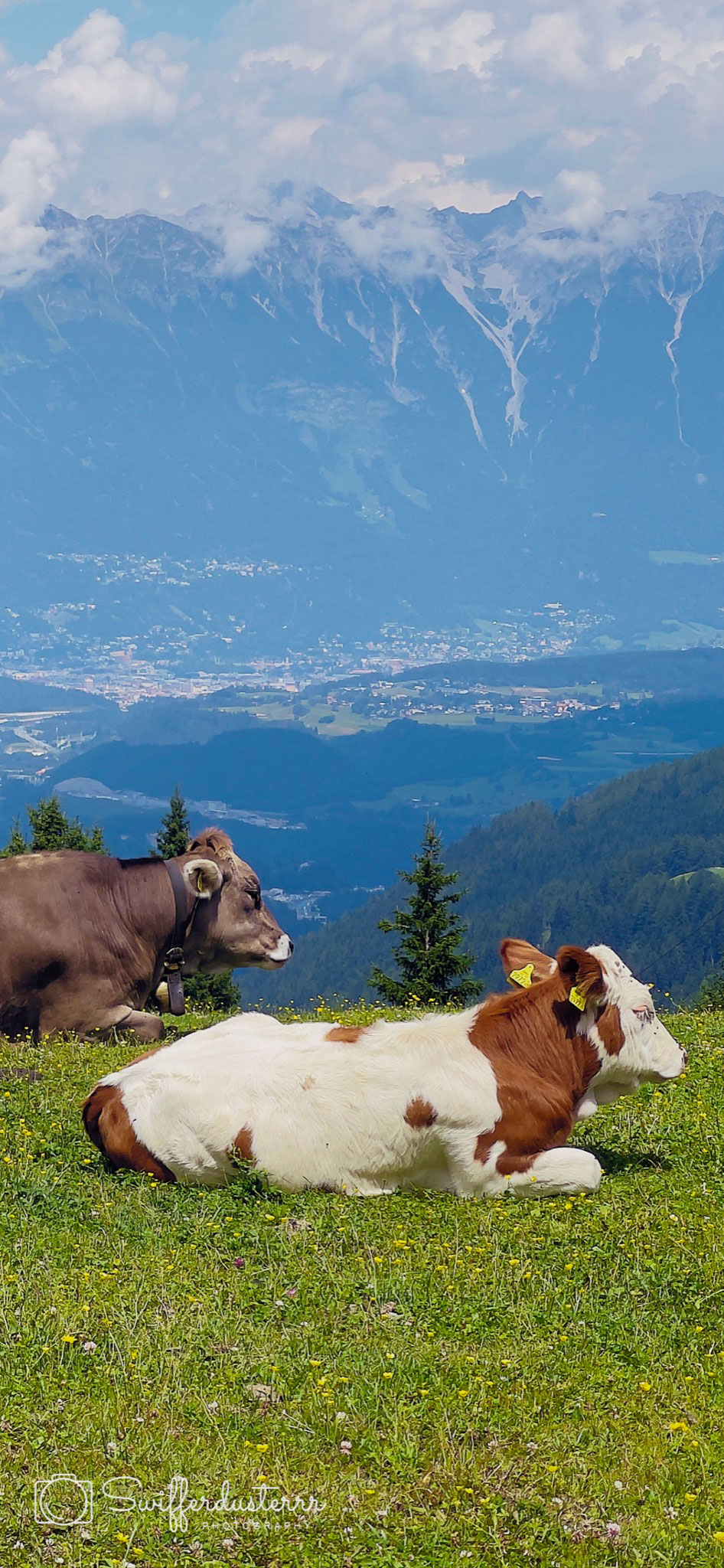 IMG_0342 Edited%20MWM