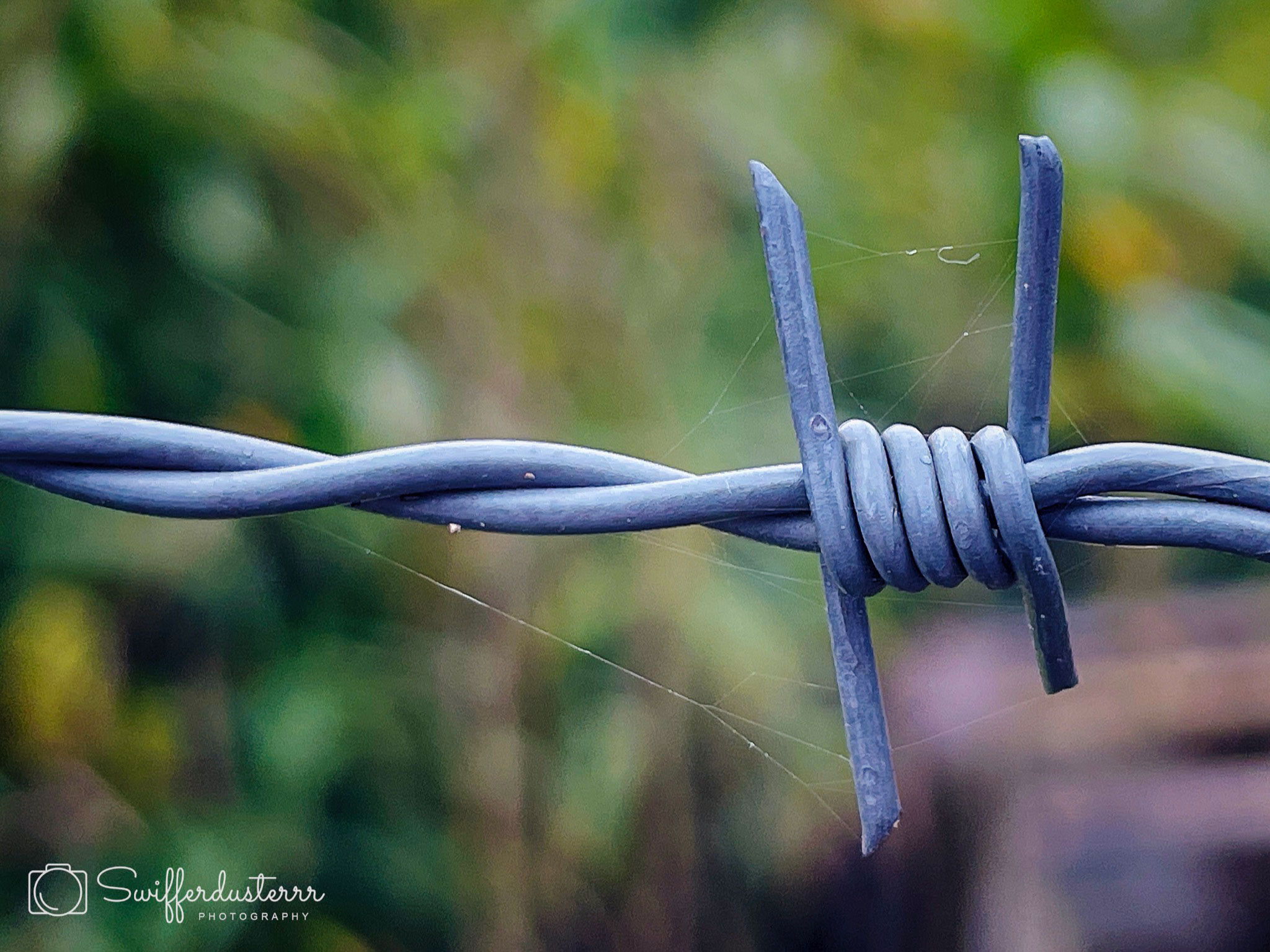 IMG_2874 Edited-mwm-1