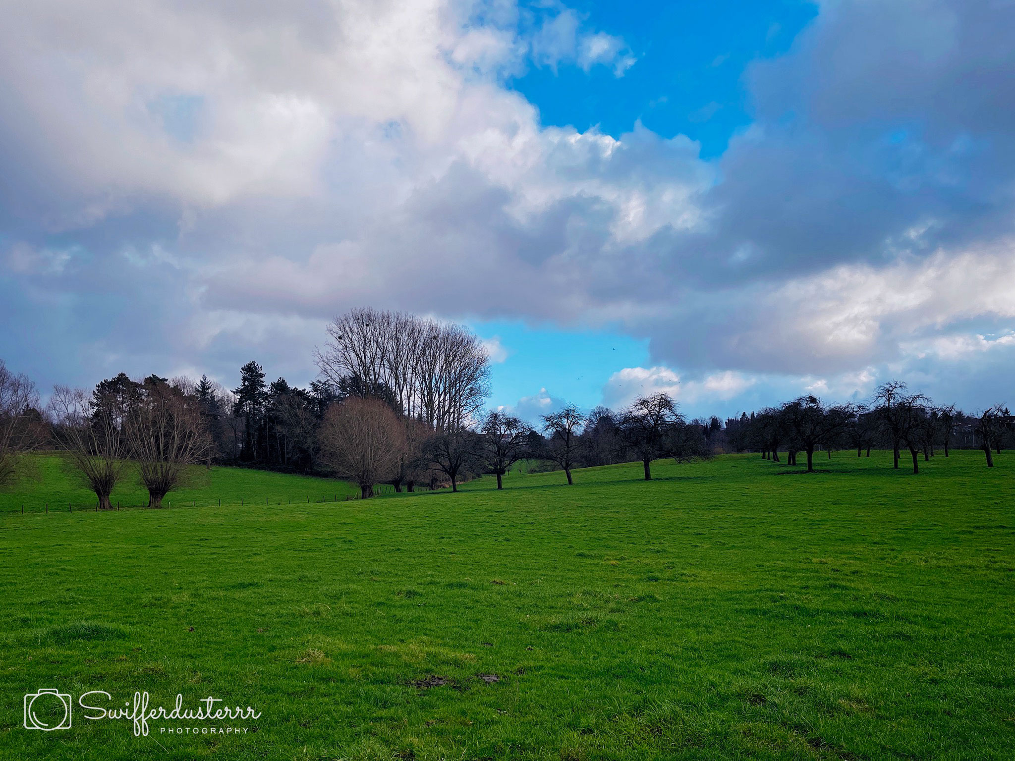 IMG_3714 4-Edited-MWM-1