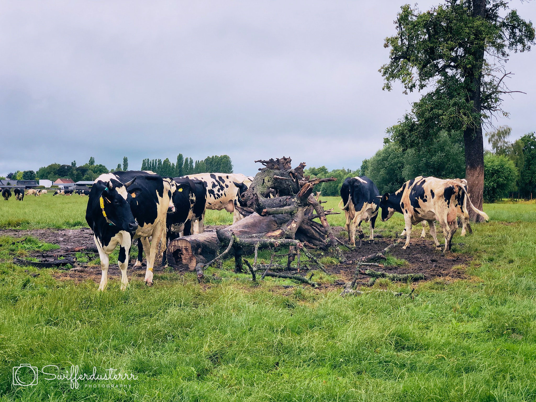 IMG_6463 1-Edited-MWM-1