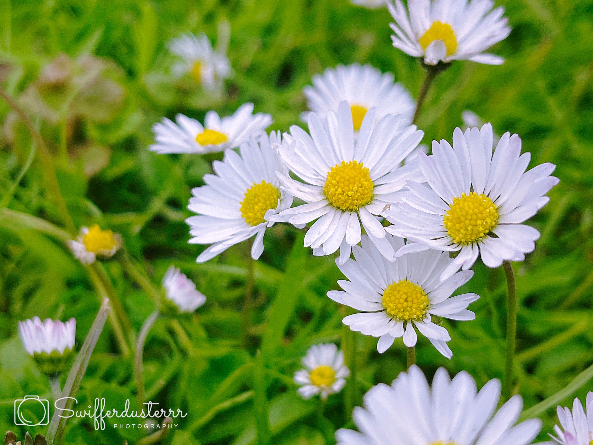 IMG_9284 Edited%20MWM