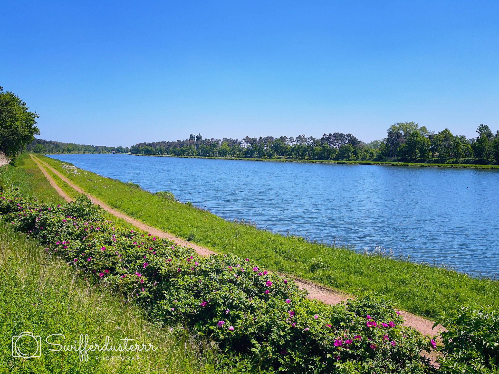 IMG_9745 4-Edited-MWM