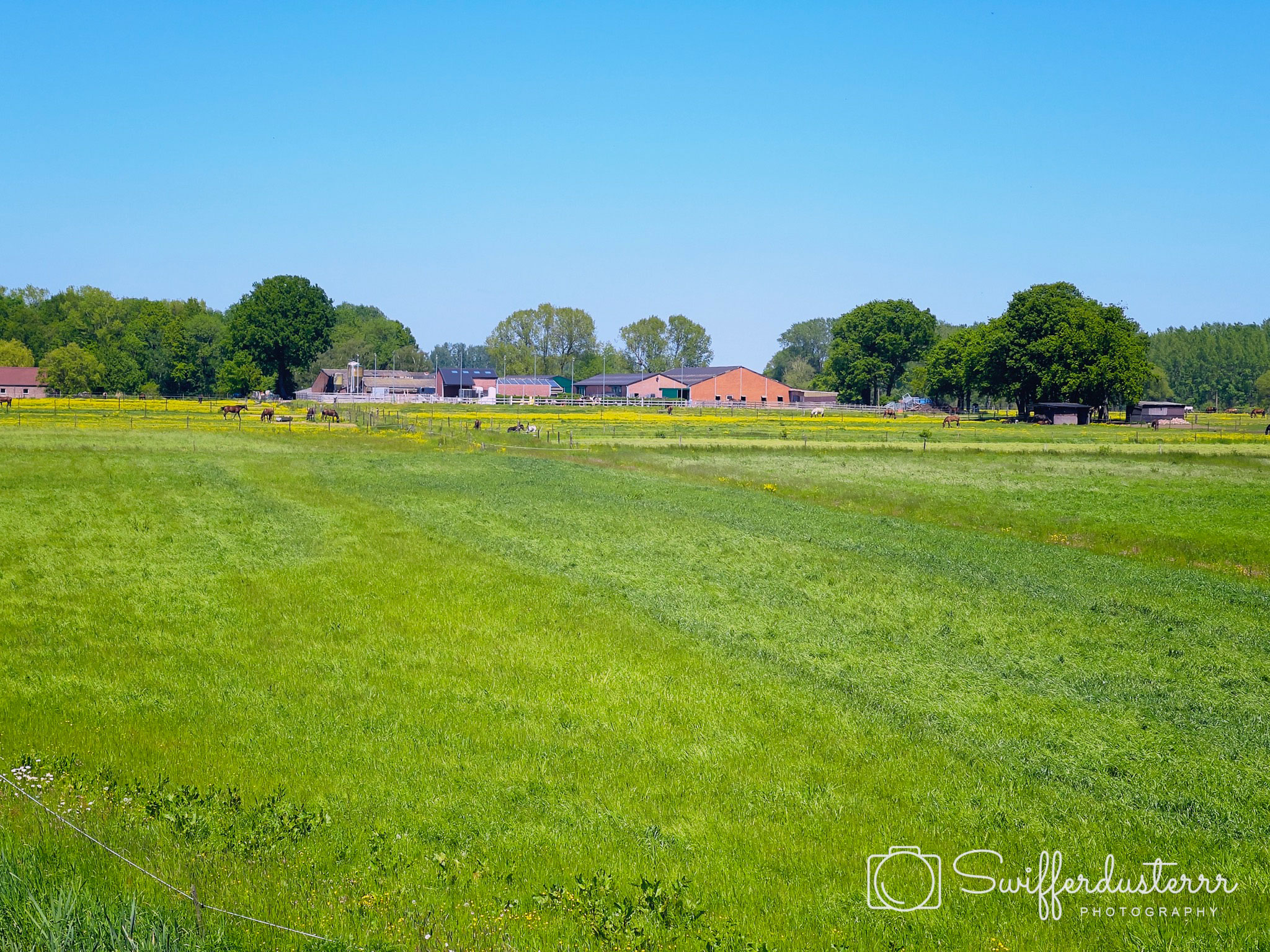 IMG_9760 11-Edited-MWM