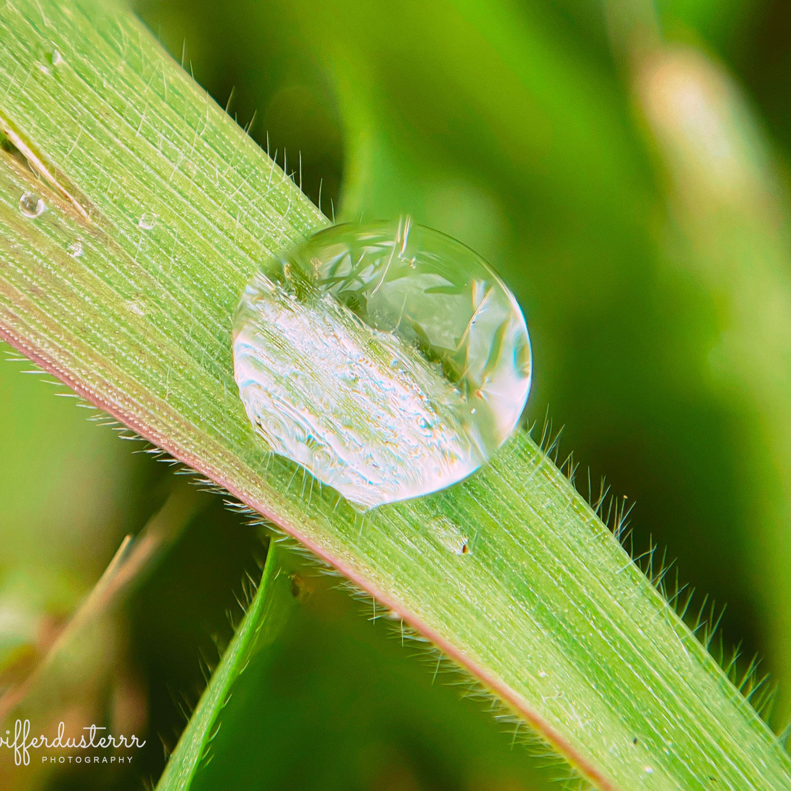 Naamloos 1-Edited3%20VIERKANT