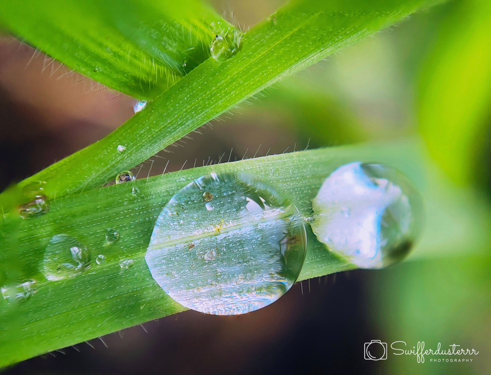 naamloos 1-edited-mwm.JPG