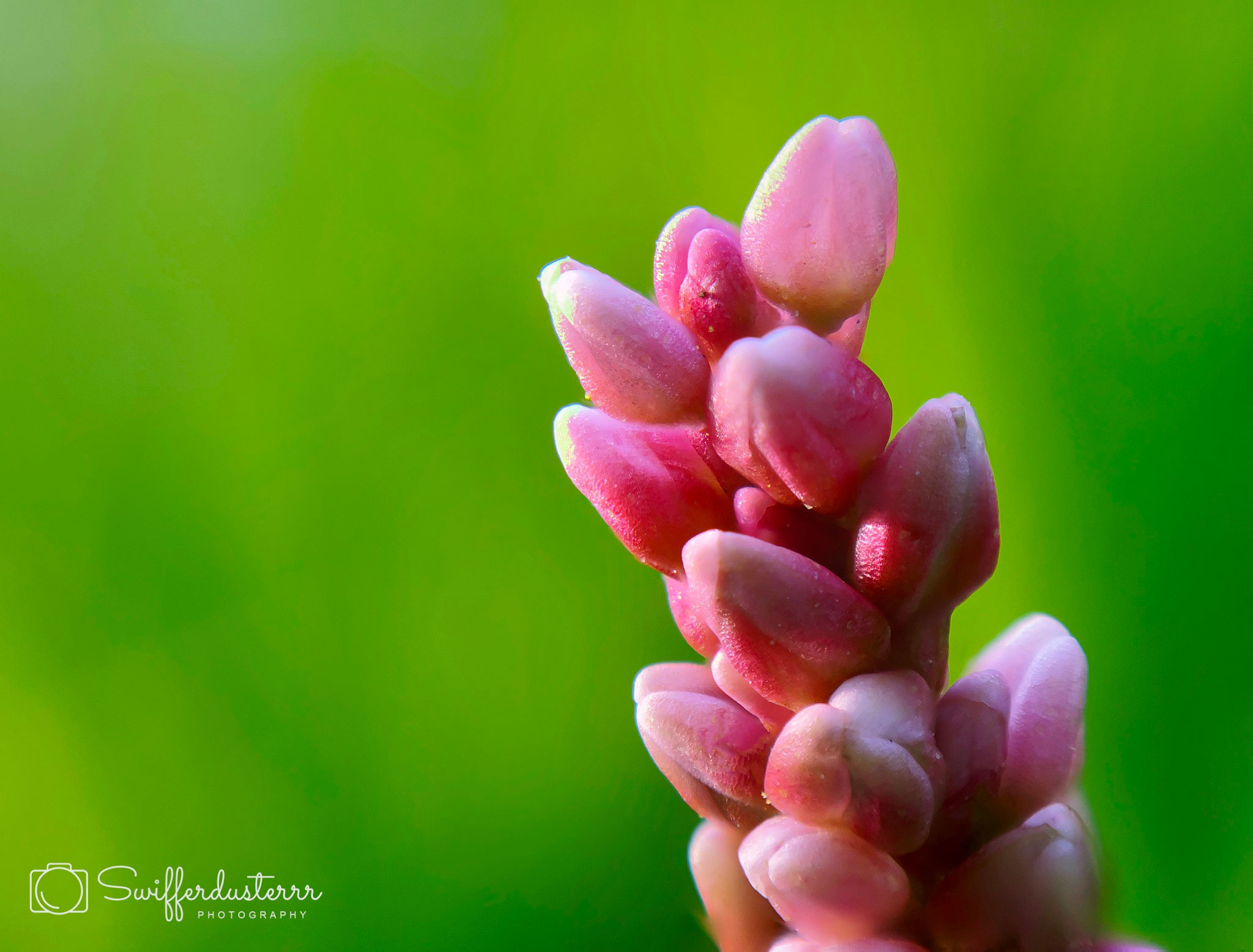 Naamloos 2-Edited-MWM-2