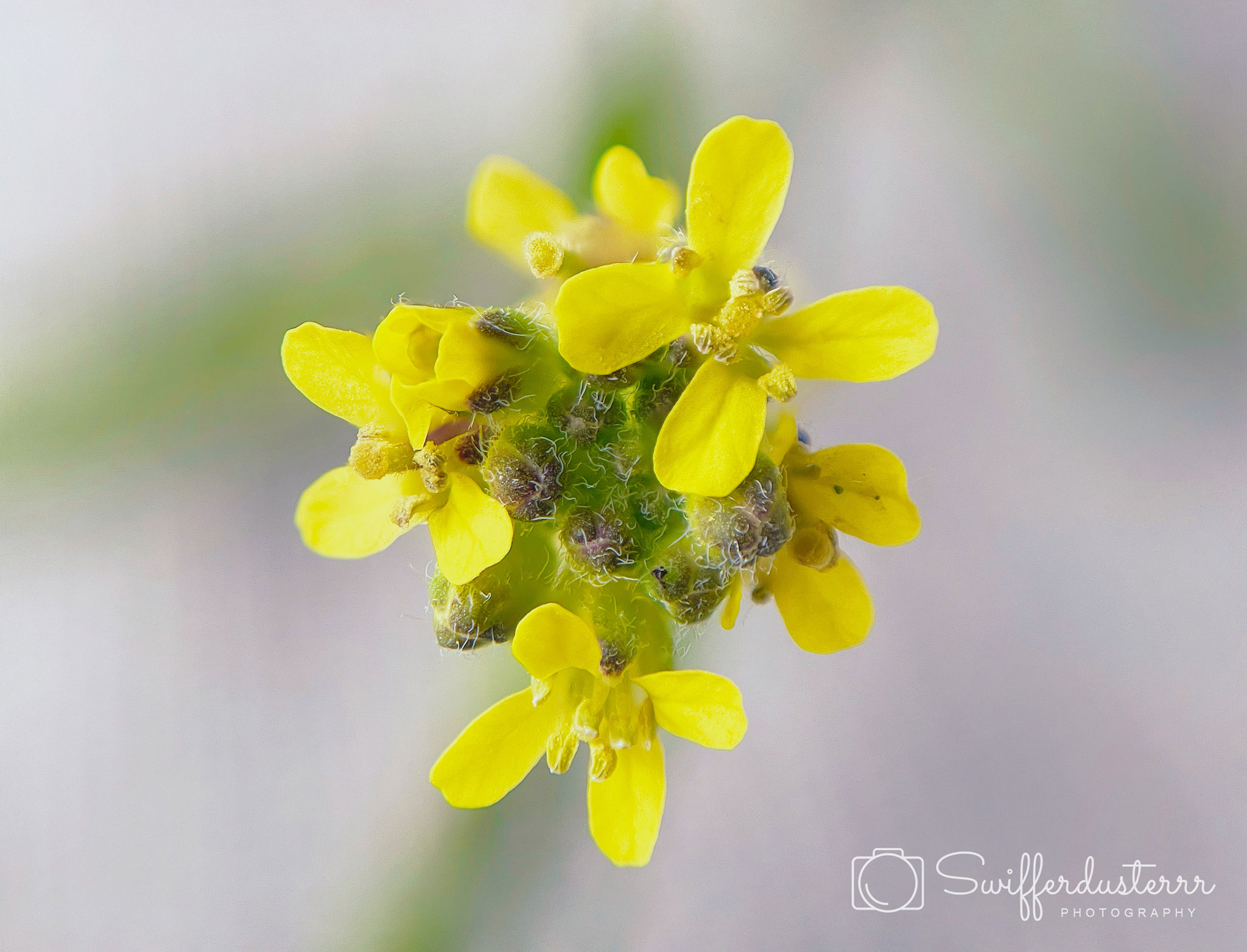 Naamloos 2-Edited-MWM-5