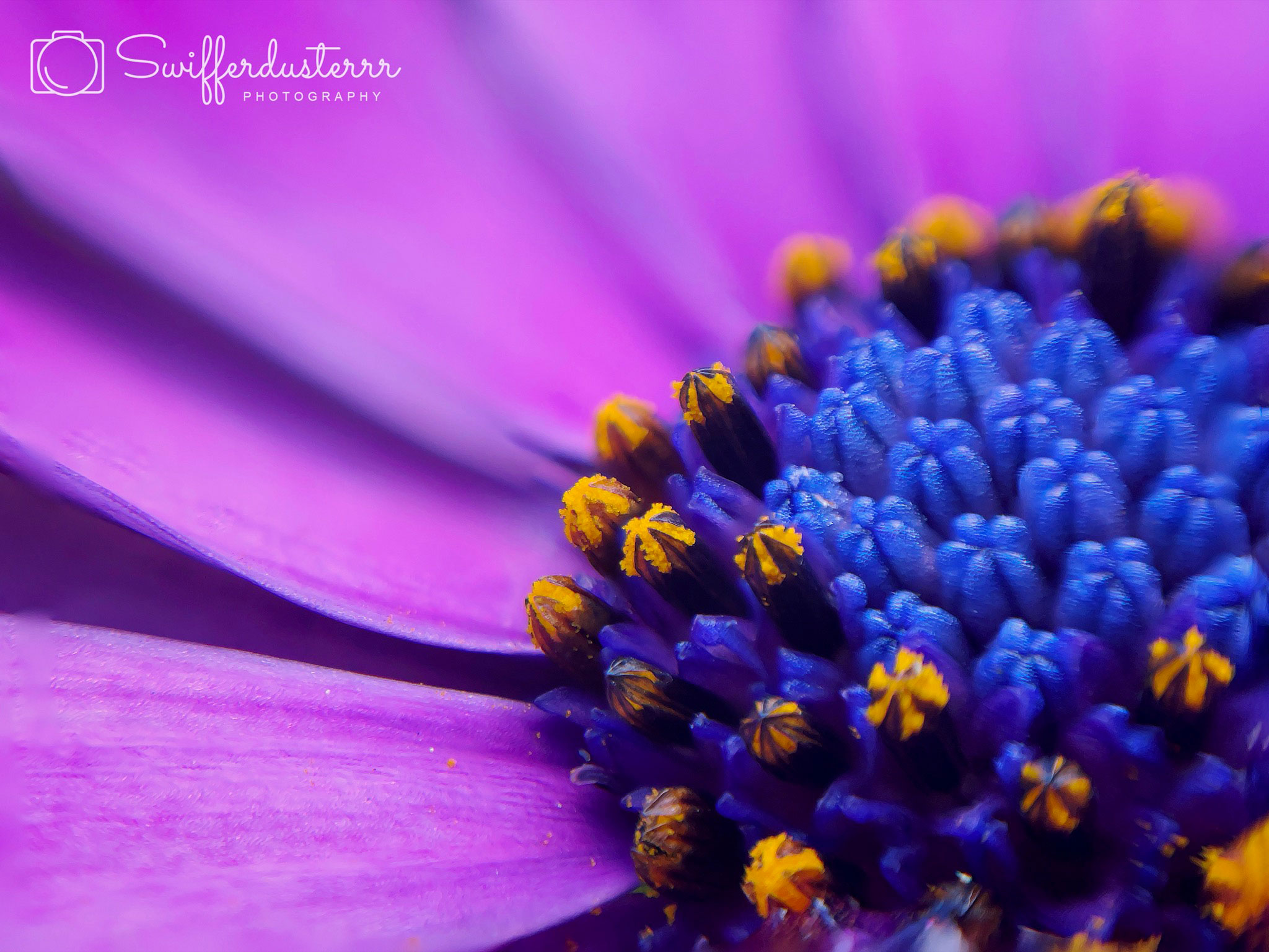 Naamloos 4-Edited-MWM-1